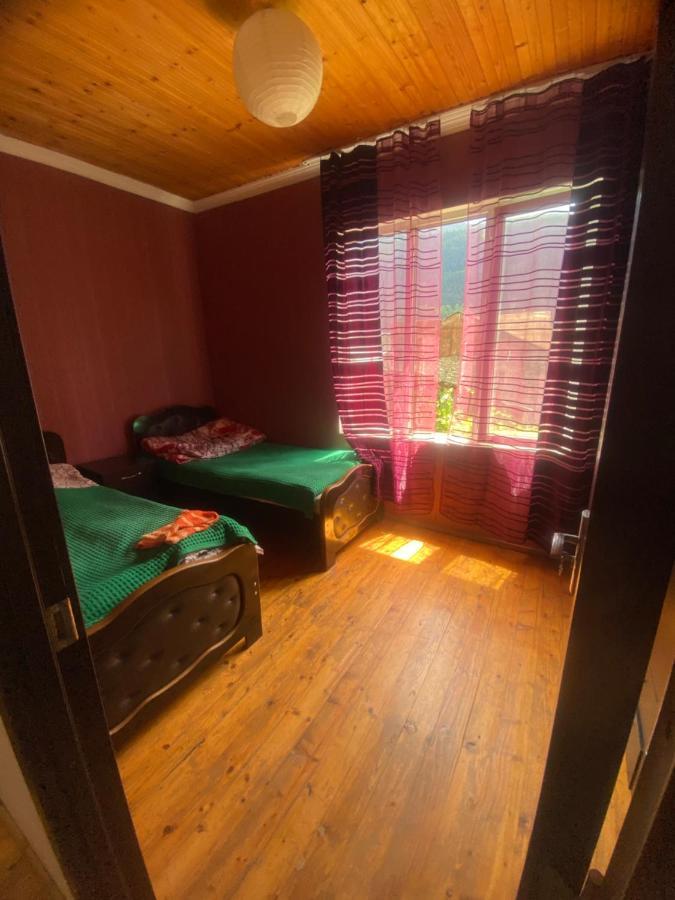 Hotel Shaulini à Kashveti Extérieur photo