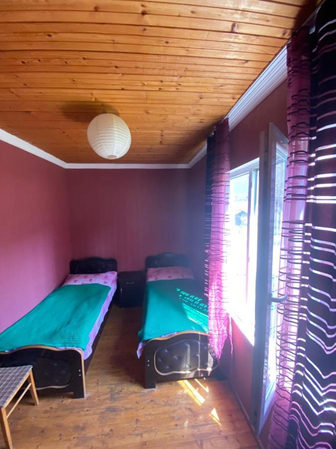 Hotel Shaulini à Kashveti Extérieur photo