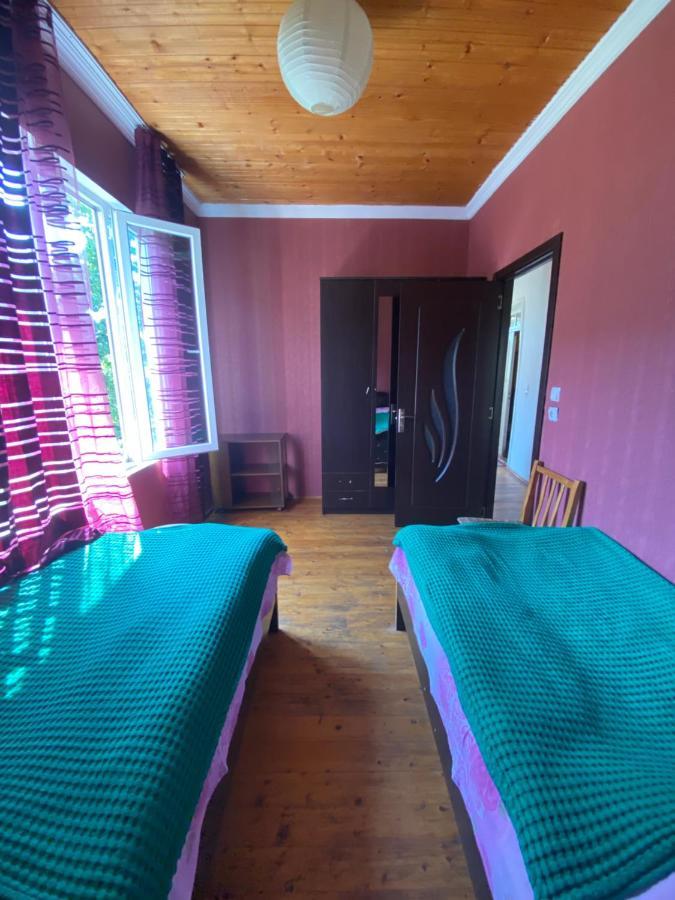 Hotel Shaulini à Kashveti Extérieur photo