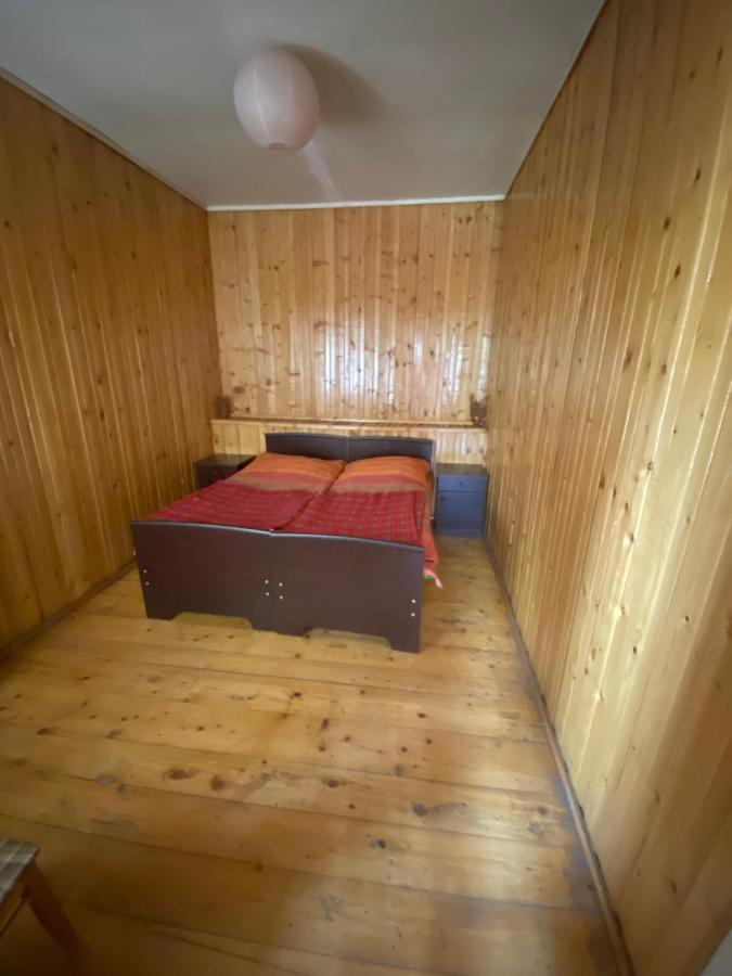 Hotel Shaulini à Kashveti Extérieur photo