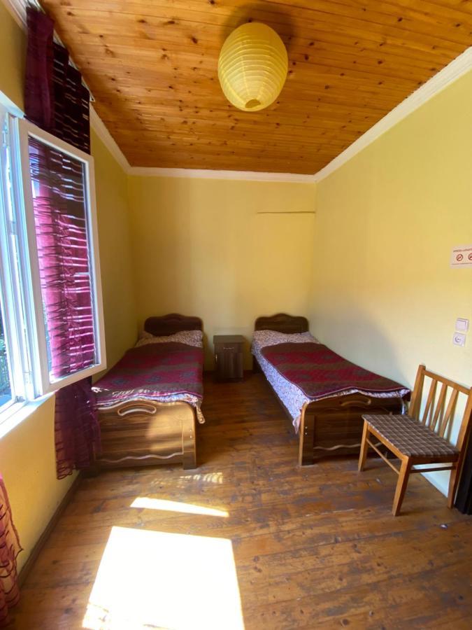 Hotel Shaulini à Kashveti Extérieur photo