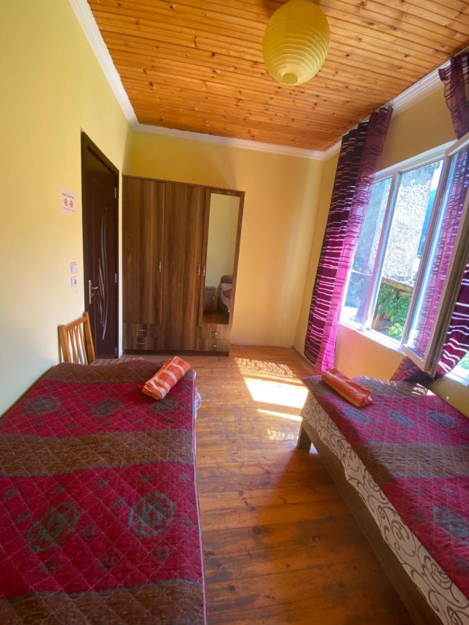 Hotel Shaulini à Kashveti Extérieur photo