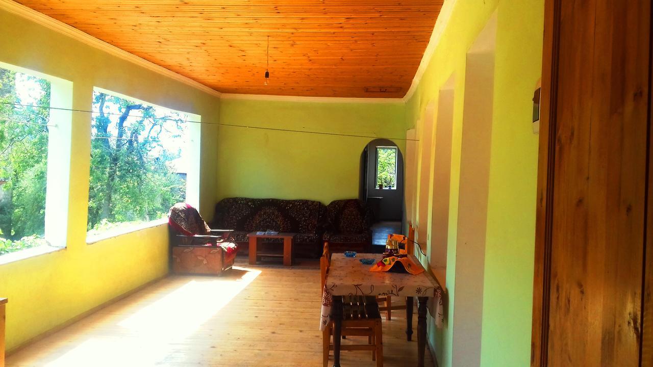 Hotel Shaulini à Kashveti Extérieur photo