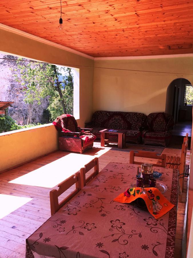 Hotel Shaulini à Kashveti Extérieur photo