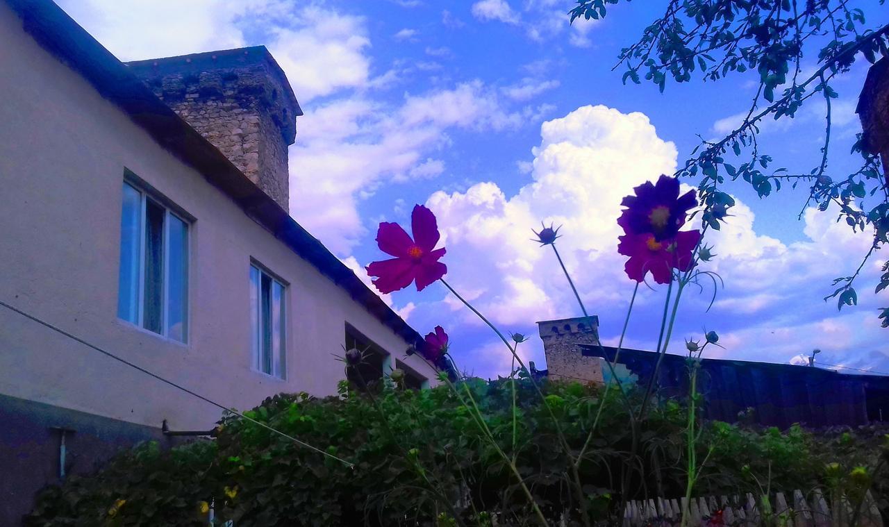 Hotel Shaulini à Kashveti Extérieur photo